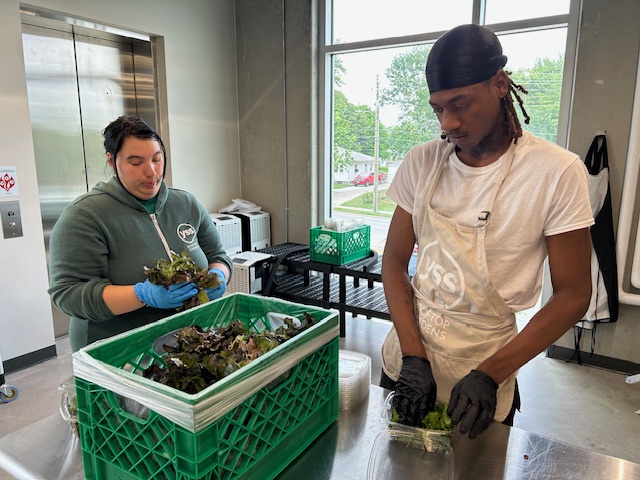 Photo of YSS Rooftop Gardens working together to package produce